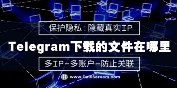 Telegram下载的文件在哪里